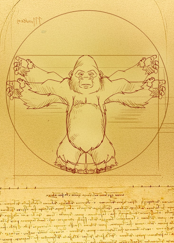 Vitruvian Rilla